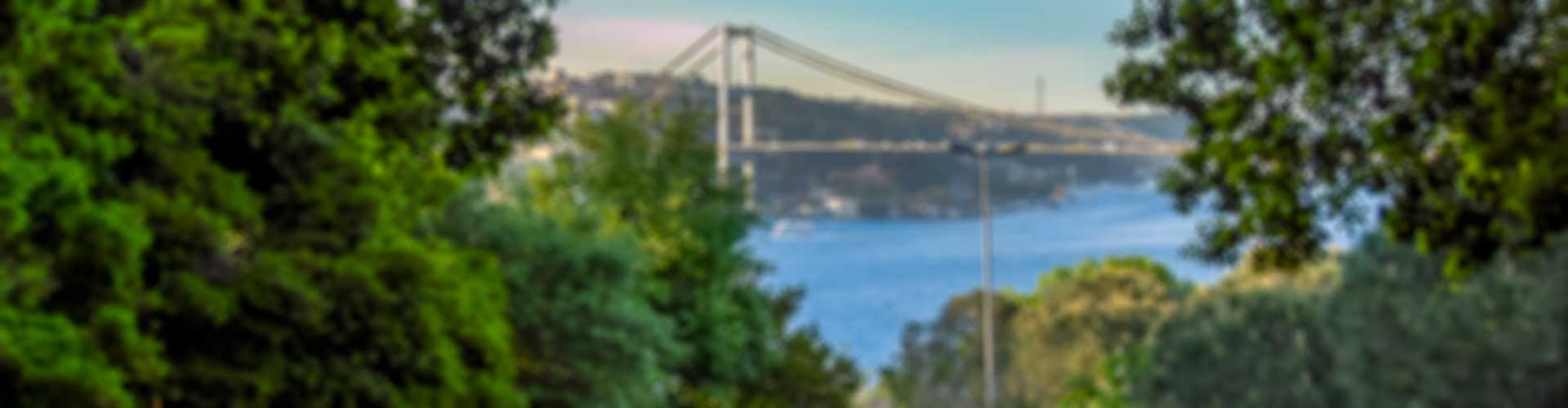 Ataturk Urban Forest, The Courage to Grow a Greener Future