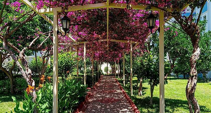 The Garden Beach Hotel