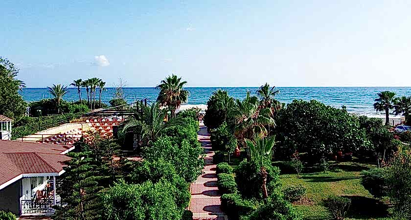 Clover Magic Garden Beach