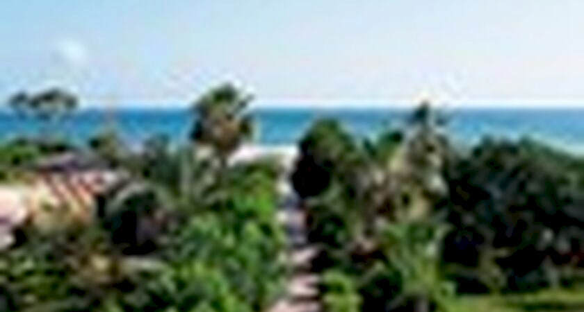 Clover Magic Garden Beach