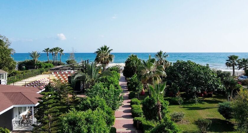 Clover Magic Garden Beach