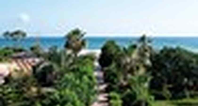 Clover Magic Garden Beach