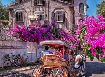 İSTANBUL ADALAR TURU