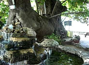 BURSA GÜZEL DİYARLAR TURU