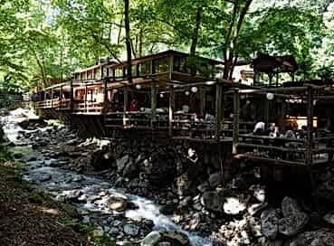 SAPANCA ORMANYA MAŞUKİYE TURU