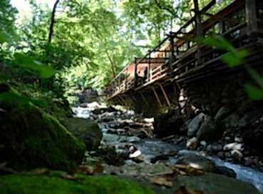 SAPANCA ORMANYA MAŞUKİYE TURU