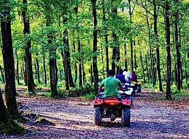 SAPANCA ORMANYA MAŞUKİYE TURU