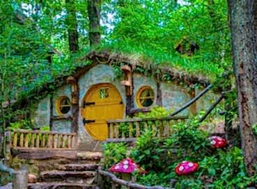 SAPANCA ORMANYA MAŞUKİYE TURU