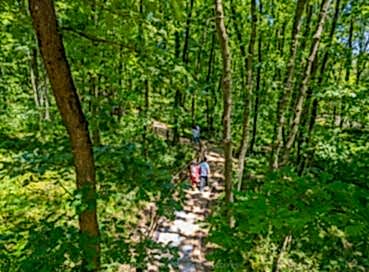 SAPANCA ORMANYA MAŞUKİYE TURU