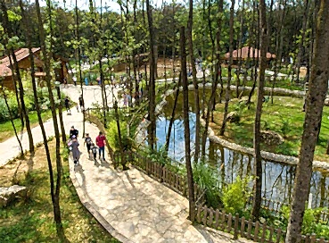 SAPANCA ORMANYA MAŞUKİYE TURU