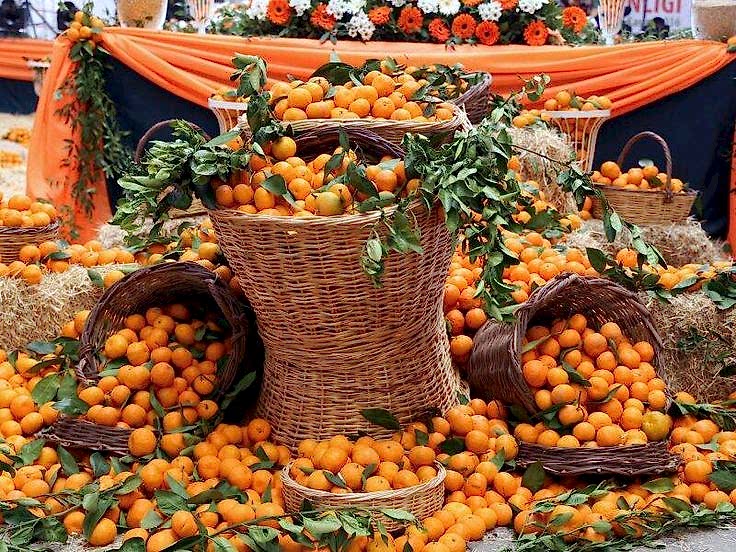 SEFERİHİSAR MANDALİNA FESTİVALİ TURU