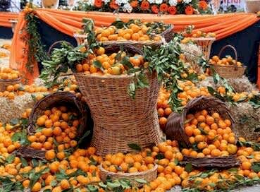 SEFERİHİSAR MANDALİNA FESTİVALİ TURU