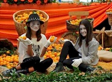 SEFERİHİSAR MANDALİNA FESTİVALİ TURU