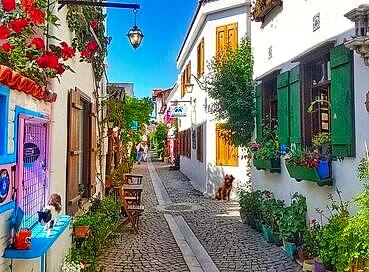 SEFERİHİSAR MANDALİNA FESTİVALİ TURU