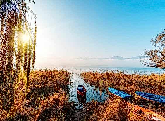 SAPANCA ORMANYA MAŞUKİYE TURU